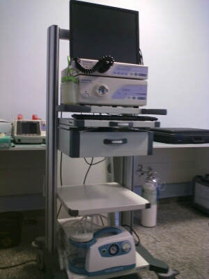 endoscopia digestiva
